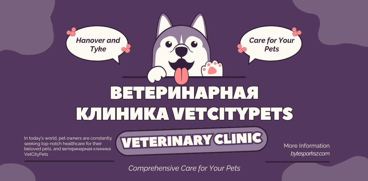 ветеринарная клиника Vetcitypets Veterinary Clinic: Comprehensive Care for Your Pets